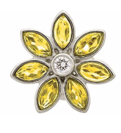 Picture for category November: Citrine & Topaz