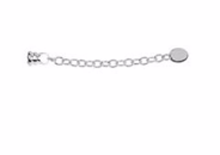 Picture for category Clasps