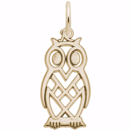 Picture of Owl Charm Pendant - 14K Gold