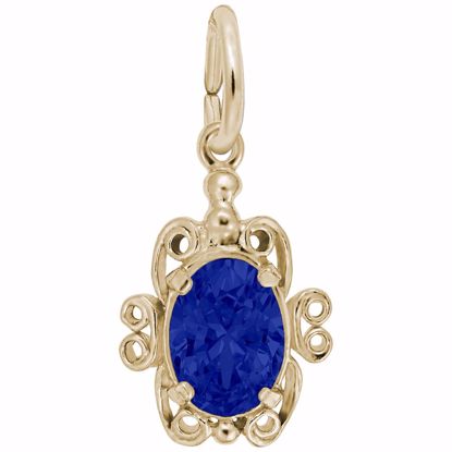 Picture of 09 Birthstone September Charm Pendant - 14K Gold