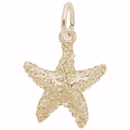 Picture of Starfish Charm Pendant - 14K Gold