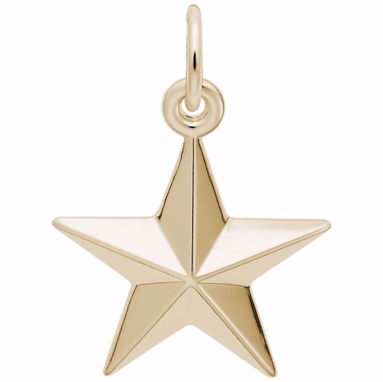 Picture of Star Charm Pendant - 14K Gold